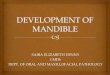 Development of mandible ppt
