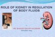 Kideney & body fluids