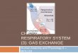 Chapter 22: Respiratory System (#3)