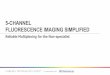5 channel fluorescence imaging simplified - reliable multiplexing for the non-specialist
