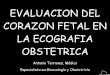Ecografia Basica Del Corazon Fetal