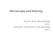 B sc micro i btm u 1 microscopy and staining
