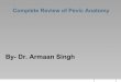 Review of pelvic_anatomy_by- dr. armaan singh