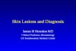 Skin lesions and diagnosis