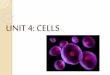 Unit4: Cells