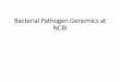 Bacterial Pathogen Genomics at NCBI