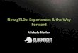 New gTLDs: Experiences & the Way Forward