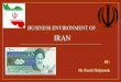 Iran business environment & economy
