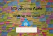 Introducing agile