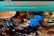 The reef aquarium vol 1