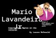 Mario Lavandeira- McDonald Research Project