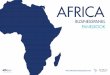 Panelbook Africa Business Panel (incl pmi)