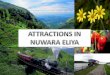 Attractions inNuwaraeliya