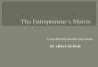 Entrepreneurship matrix blue print 13