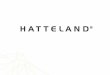 NEO2015: Hatteland