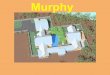 Murphy  Portfolio 8 18 09