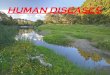 Human diseases