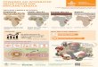 Towards an integrated value chain for dryland cereals
