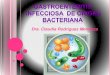 Infecciones gastrointestinales de origen bacteriano