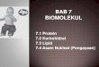 Bab 7 biomolekul