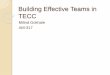 Building effective teams in Amdocs TECC - Presentation