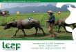 Livestock Environmental Assessment and Performance Partnership: guidelines
