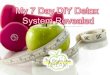 7 Day DIY Detox System Revealed