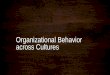 Organizational behavior across cultures
