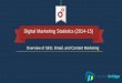 Digital Marketing Statistics of 2014 & 2015- Credible Projections with Rules for Success