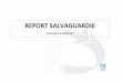 Report salvaguardia