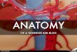 Anatomy of a Winning B2B Blog