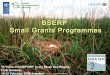 BSERP small grants programmes