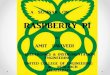 raspberry pi (generalised)
