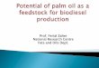 Potential of palm oil as a feedstock for biodiesel production