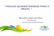 II WSF, São Paulo - Marcelo Lopes da Silva - “ PRAGAS QUARENTENÁRIAS PARA O BRASIL ”