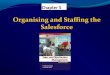 Sales organisation sales force management(2)