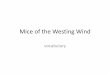 Mice of the Westing Wind