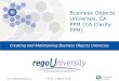 Rego University: Business Objects Universes, CA PPM (CA Clarity PPM) + Jaspersoft