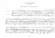 Max reger   sonate pour clarinette et piano op. 49 - no1 (piano)