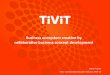 Tivit Interactive: Business Ecosystem Creation