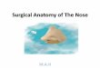 Surgical anatomy of nose MAH