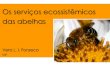 Vera Lucia Imperatriz Fonseca - Os serviços ecossistêmicos das abelhas