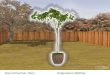 How to Grow Trees: Learn Step by Step