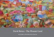 David Bowes -  The Pleasant Land