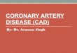 Coronary artery disease (cad)