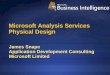 Microsoft Analysis Services Physical Design