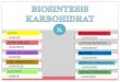 Biosintesis Karbohidrat