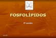 FOSFOGLICERIDOS (fosfolipidos)