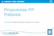 PP Coruña-Propuestas PALAVEA-Carlos Negreira