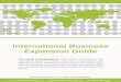 International Business Expansion guide